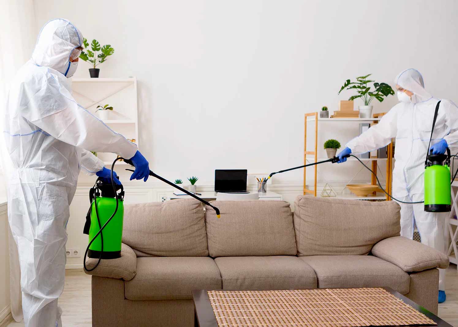 NUISIBLE KO 91 intervient dans l’Essonne (91) et les alentours pour vos besoins en désinsectisation de punaises de lit : traitement à la vapeur et insecticide. Traitement des blattes et cafards : germanique, orientale, américaine ou rayé. Traitement par gel anti cafar, piège à phéromones et insecticide à nébuleuse. Dératisation: rat norvégien ou noir, souris. Utilisation de couloir de piégeage et de poste d’appâtage. Destruction des nids de frelons et guêpes ( frelon asiatique et européen ). Utilisation d’insecticide et de poudreuse. Nous sommes expert local dans l’élimination de nuisibles dans l’Essonne (91). Nuisible ko 91