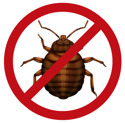 NUISIBLEKO intervient dans l’Essonne (91) et les alentours pour vos besoins en désinsectisation de punaises de lit : traitement à la vapeur et insecticide. Traitement des blattes et cafards : germanique, orientale, américaine ou rayé. Traitement par gel anti cafar, piège à phéromones et insecticide à nébuleuse. Dératisation: rat norvégien ou noir, souris. Utilisation de couloir de piégeage et de poste d’appâtage. Destruction des nids de frelons et guêpes ( frelon asiatique et européen ). Utilisation d’insecticide et de poudreuse. Nous sommes expert local dans l’élimination de nuisibles dans l’Essonne (91). Nuisibleko