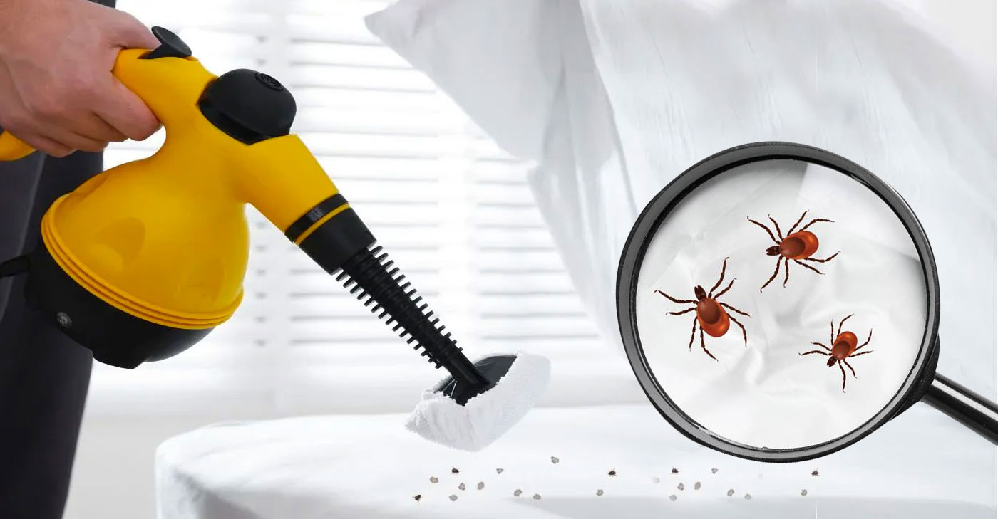 NUISIBLE KO 91 intervient dans l’Essonne (91) et les alentours pour vos besoins en désinsectisation de punaises de lit : traitement à la vapeur et insecticide. Traitement des blattes et cafards : germanique, orientale, américaine ou rayé. Traitement par gel anti cafar, piège à phéromones et insecticide à nébuleuse. Dératisation: rat norvégien ou noir, souris. Utilisation de couloir de piégeage et de poste d’appâtage. Destruction des nids de frelons et guêpes ( frelon asiatique et européen ). Utilisation d’insecticide et de poudreuse. Nous sommes expert local dans l’élimination de nuisibles dans l’Essonne (91). Nuisible ko 91